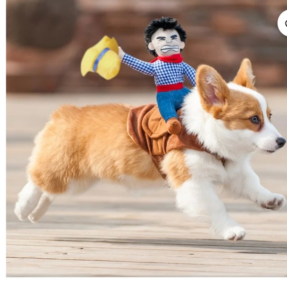 Funny Cowboy Rider Costume for Small and Medium Pets New - Picture 14 of 14